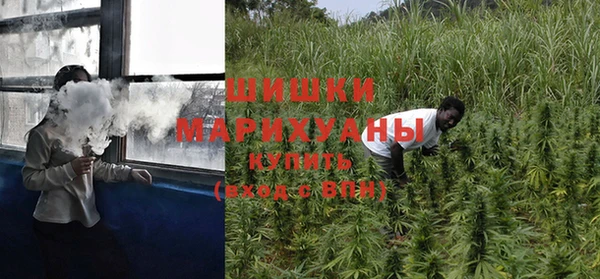 СК Бородино