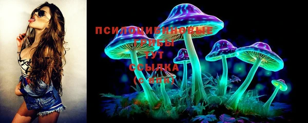 СК Бородино