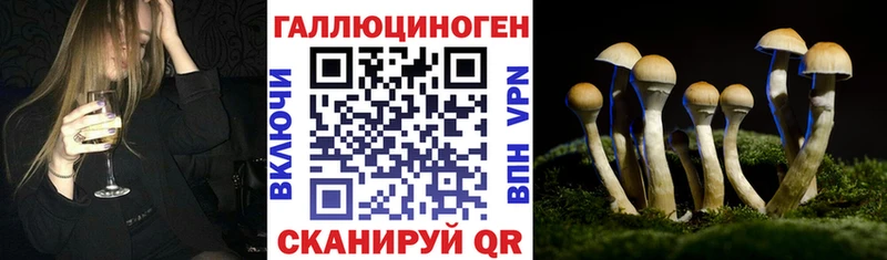 Псилоцибиновые грибы мухоморы  mega ТОР  Геленджик 